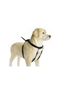 BZ GENTLE WALKER ZWT S