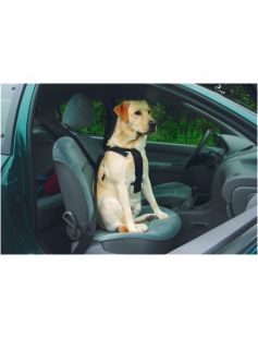 BZ WANDEL- EN AUTOGORDEL HOND M