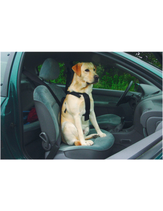 BZ WANDEL- EN AUTOGORDEL HOND L