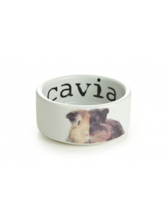 BZ KERAM EETB SNAPSHOT CAVIA 10X4