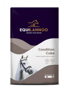 EQL CONDITION CUBE 20KG