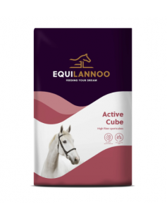 EQL ACTIVE CUBE (VOORHEEN: EQUIFIRST (502002) VITAL CUBE 20 KG)