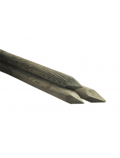 160-6 CELFIX GEFREESD NAALDHOUT GEPUNT - L 160 CM