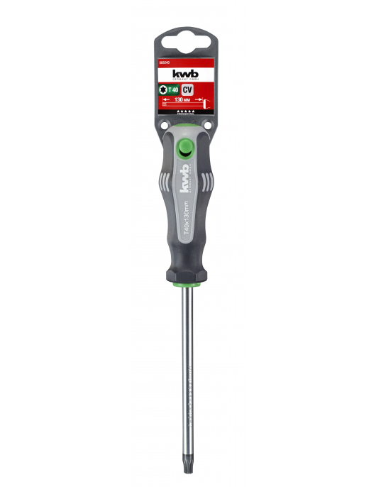 TORX SCHROEVENDR. T40X130 MM