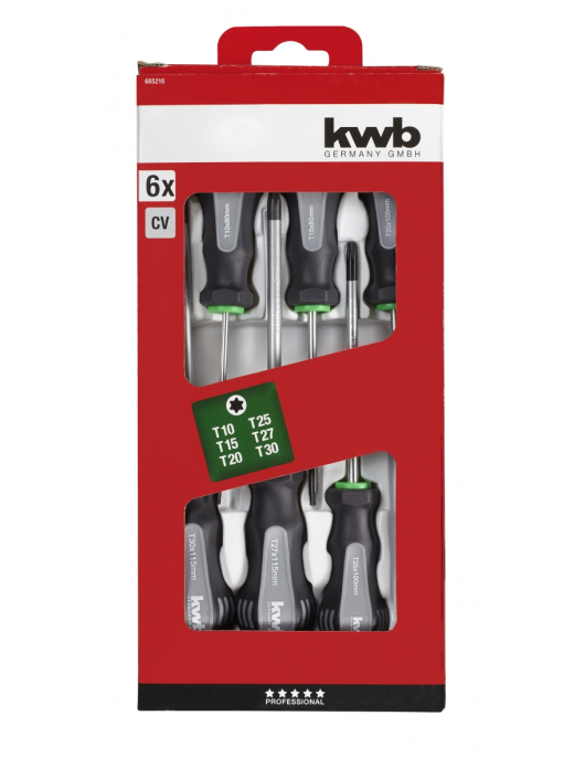 TORX SCHROEVENDR. SET 6-DELIG
