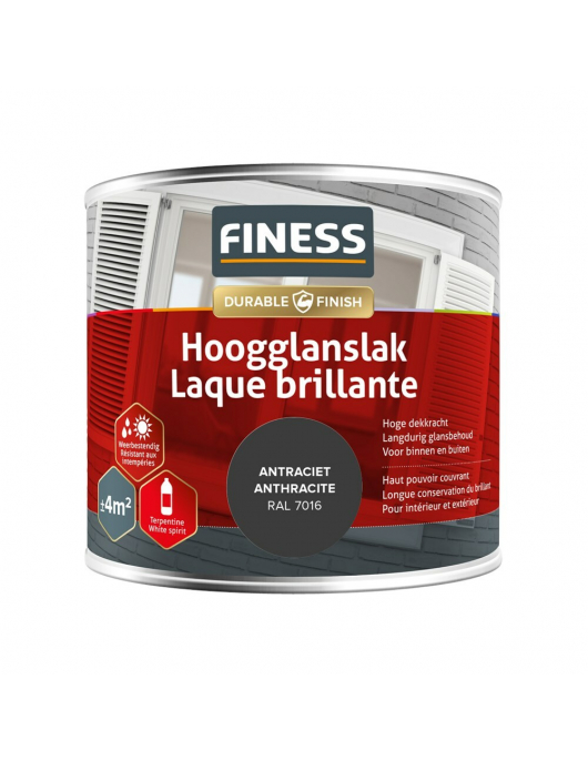 FINESS HOOGGLANSLAK 250 ML 14203 RAL 7016