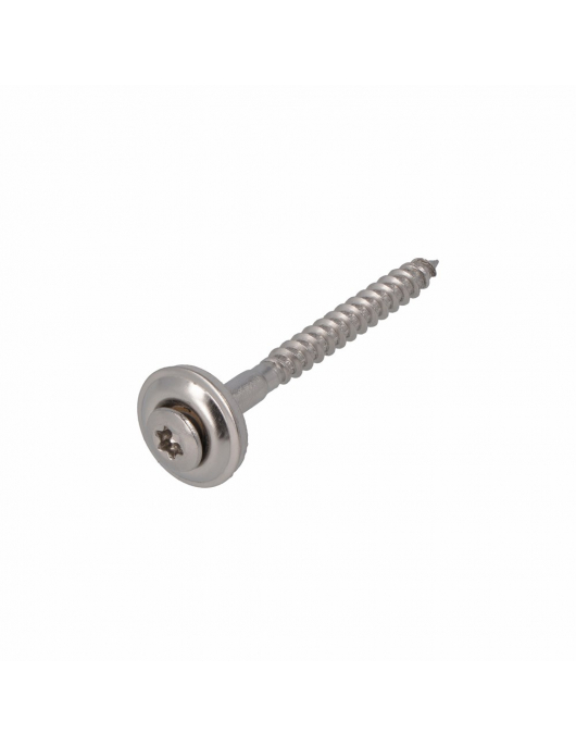 DAK&GEVEL SPENGLERSCHROEF RVS-A2 LK MET EPDM RING 15MM TX-20 4.5X50 (100)