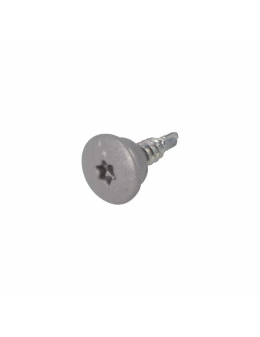 DAK&GEVEL DAKPANPROFIELSCHROEF BP-1 VZ LBK TX-25 BLANK ALUMINIUM RAL9006 4.8X35 (50)