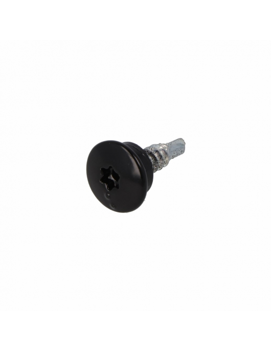 DAK&GEVEL DAKPANPROFIELSCHROEF BP-1 VZ LBK TX-25 GRAFIETZWART RAL9005 4.8X20 (50)