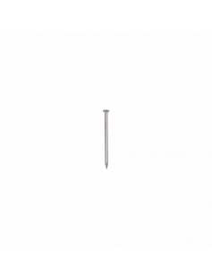 HOMEFIX DRAADNAGEL RVS-A2 BOMBEKOP 2.4X50 (40GR)