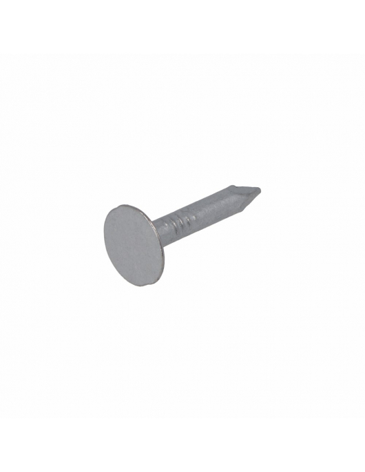 HOMEFIX ASFALTNAGEL VZ 3.0X20 (100GR)