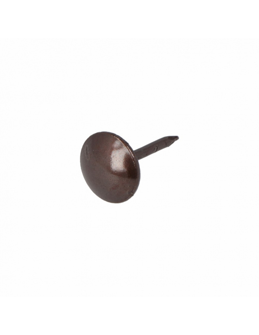 HOMEFIX MEUBELNAGEL BRONS KOP 4.6MM 1.0X12 (30)