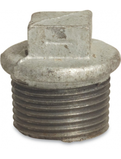 GEG PLUG MET RAND NR290 1&quot;